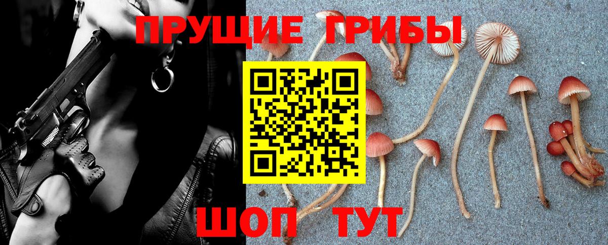 Псилоцибиновые грибы GOLDEN TEACHER  где найти наркотики  Коммунар  Вход с VPN 